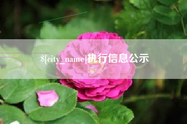 改则执行信息公示
