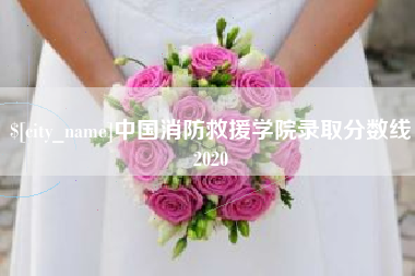 改则中国消防救援学院录取分数线2020