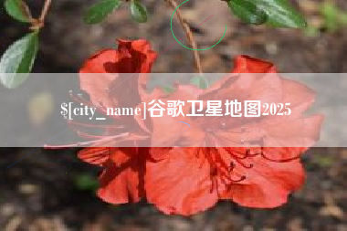 改则谷歌卫星地图2025