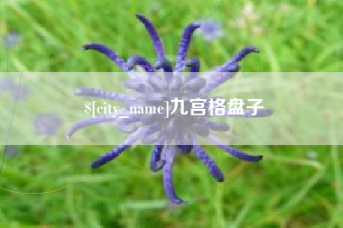 改则九宫格盘子