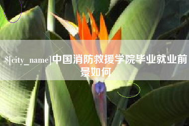改则中国消防救援学院毕业就业前景如何