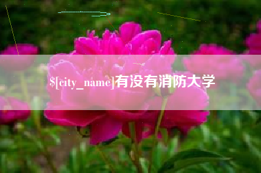 改则有没有消防大学