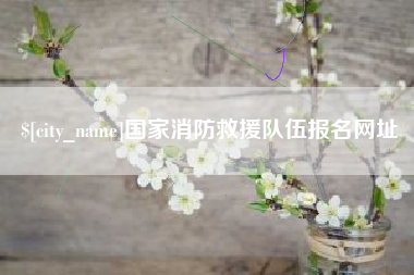 改则国家消防救援队伍报名网址