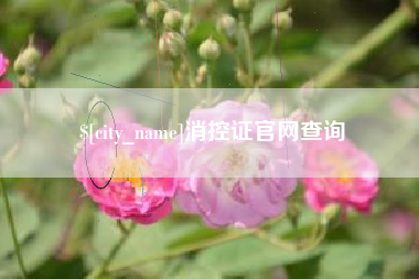改则消控证官网查询
