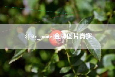 改则金牌图片真实