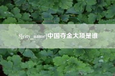 改则中国夺金大项是谁