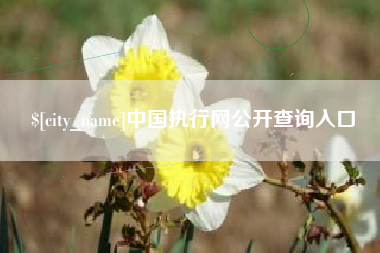 改则中国执行网公开查询入口