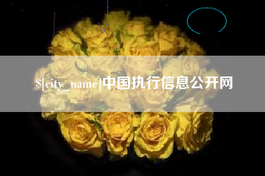 改则中国执行信息公开网