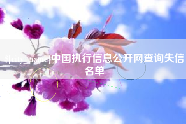 改则中国执行信息公开网查询失信名单