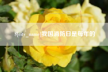 改则我国消防日是每年的