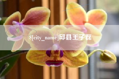 改则邱县王子磊