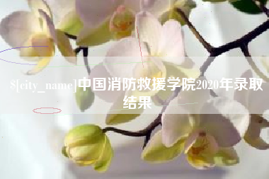 改则中国消防救援学院2020年录取结果