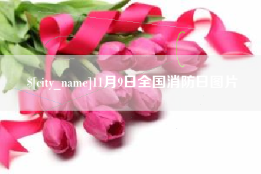 改则11月9日全国消防日图片