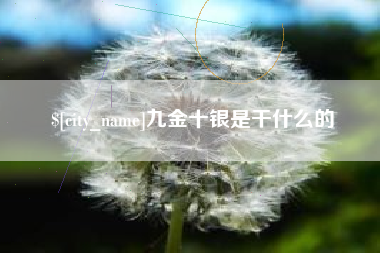 改则九金十银是干什么的