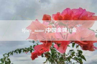 改则中国金牌18金