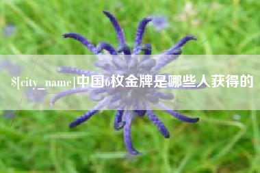 改则中国6枚金牌是哪些人获得的