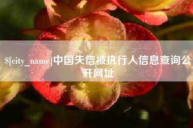 改则中国失信被执行人信息查询公开网址