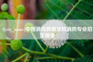 改则中国消防救援学院消防专业招生简章