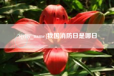 改则我国消防日是哪日
