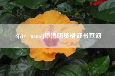 改则查消防资格证书查询