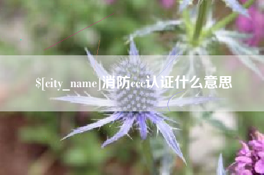 改则消防ccc认证什么意思