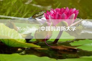 改则中国的消防大学
