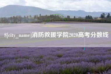改则消防救援学院2020高考分数线