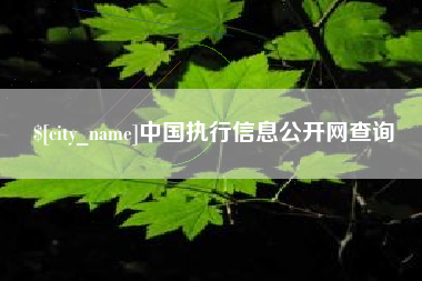 改则中国执行信息公开网查询