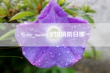 改则全国消防日哪一