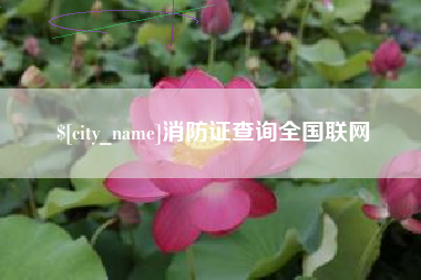 改则消防证查询全国联网