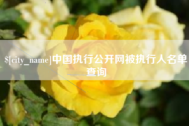改则中国执行公开网被执行人名单查询
