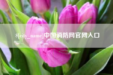 改则中国消防网官网入口