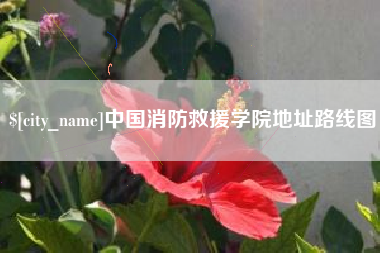 改则中国消防救援学院地址路线图