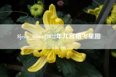 改则2022年九宫格飞星图