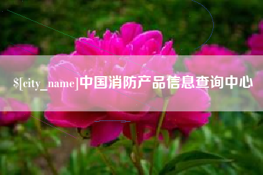 改则中国消防产品信息查询中心
