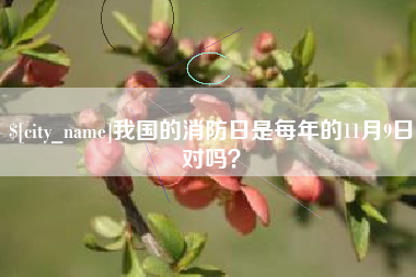 改则我国的消防日是每年的11月9日对吗？