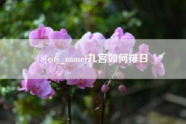 改则九宫如何排日