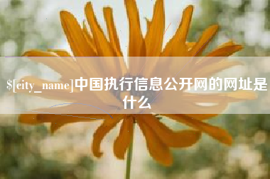 改则中国执行信息公开网的网址是什么