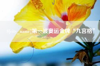 改则第一波奥运金牌“九宫格”