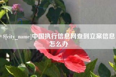改则中国执行信息网查到立案信息怎么办
