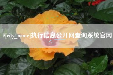改则执行信息公开网查询系统官网