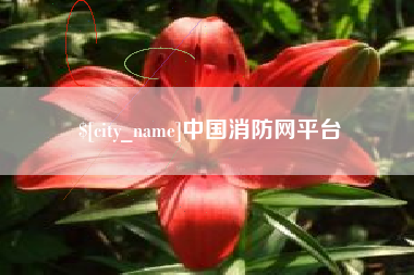 改则中国消防网平台
