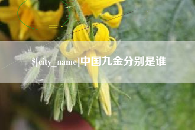 改则中国九金分别是谁