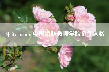 改则中国消防救援学院招生人数