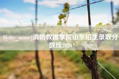 改则消防救援学院山东招生录取分数线2020
