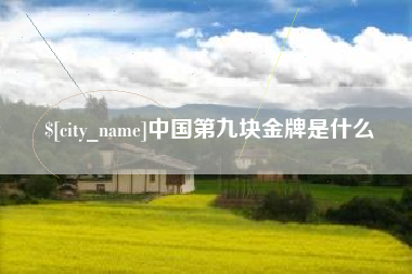 改则中国第九块金牌是什么