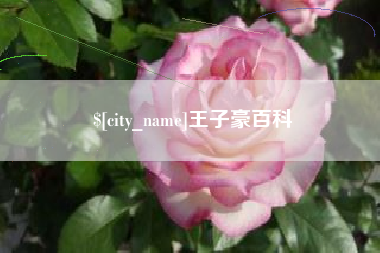 改则王子豪百科