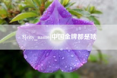 改则中国金牌都是啥