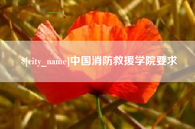 改则中国消防救援学院要求