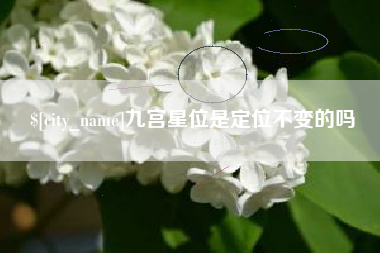 改则九宫星位是定位不变的吗